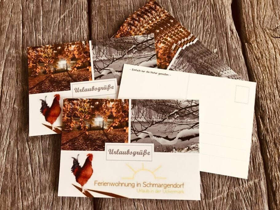 Ferienwohnung In Schmargendorf Bei Angermuende アンガーミュンデ エクステリア 写真